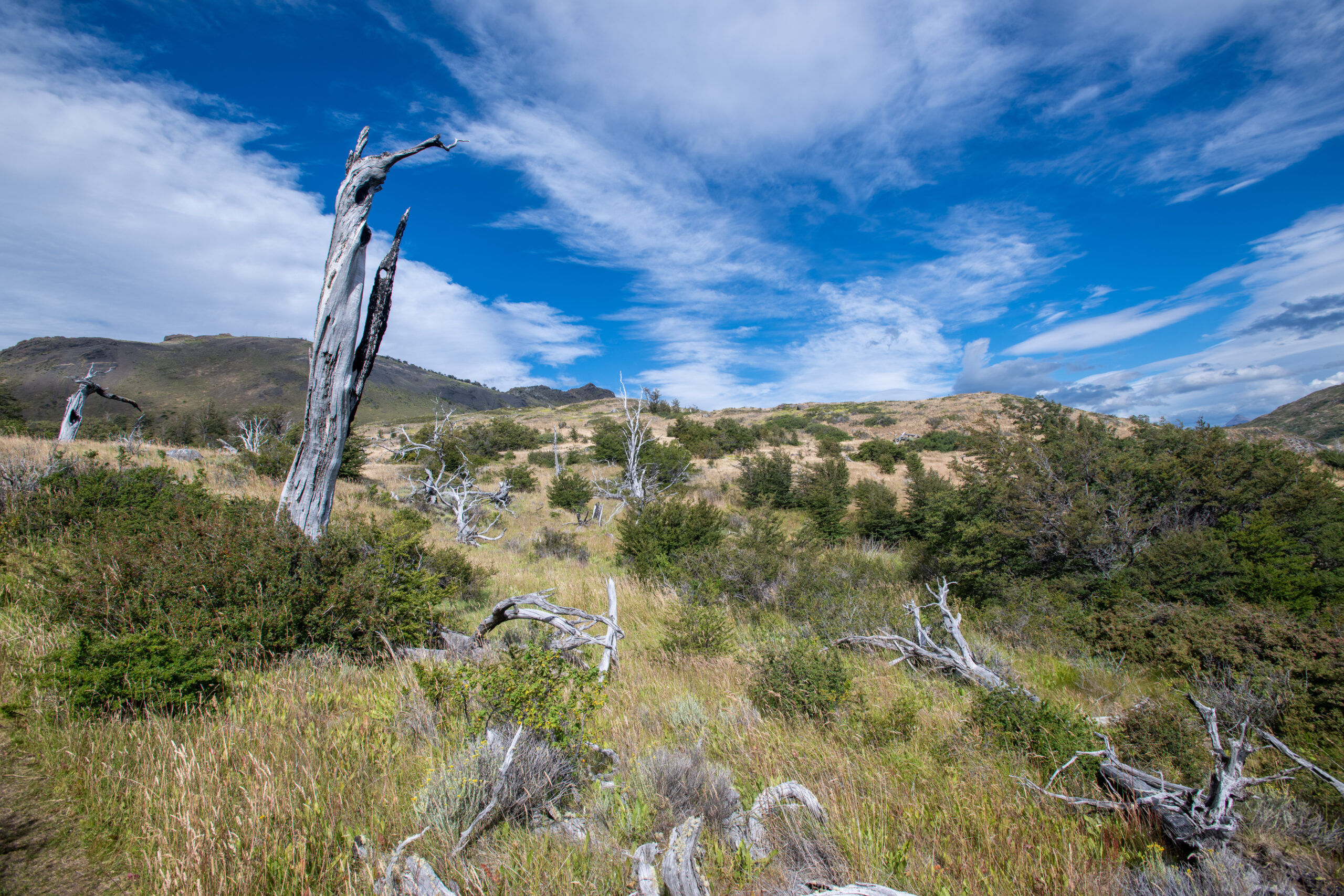 Chile – Torres del Paine (Patagonia)