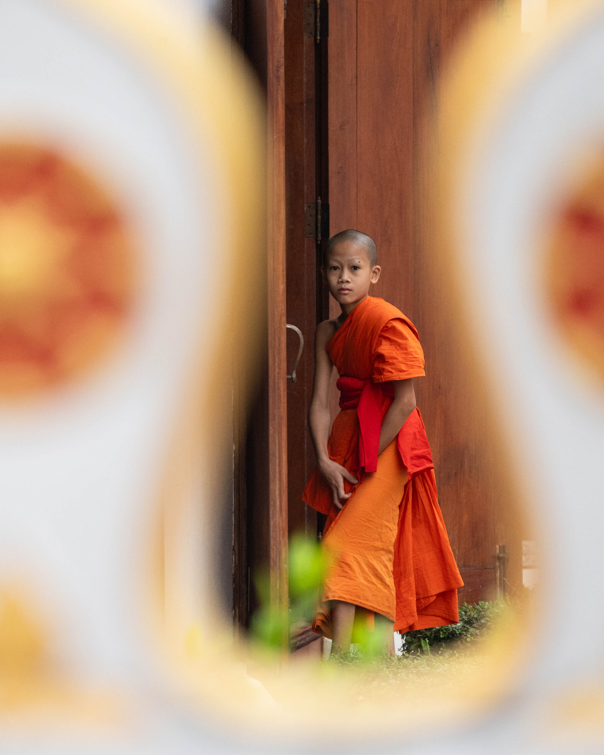 Luang Prabang & Elephants!