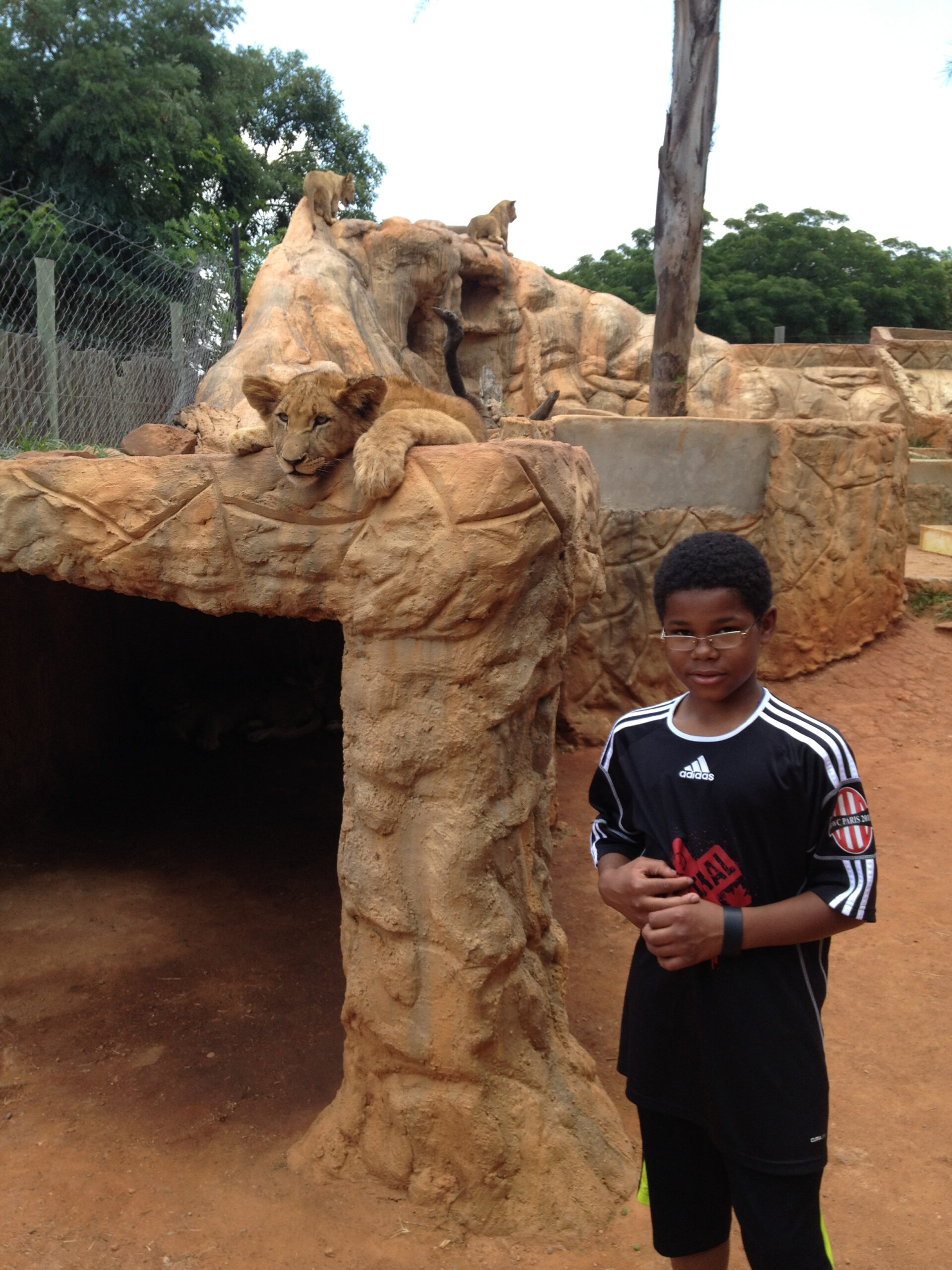 Ep 39: Story – Lion Park